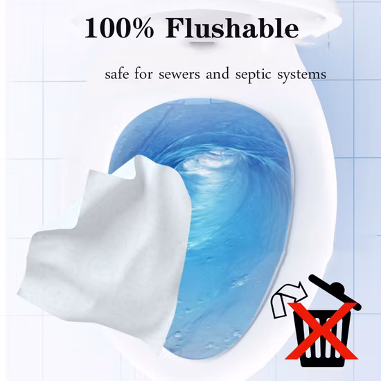 Wholesale High Quality Custom Wet Wipes Moist Paper Wrapped with Private Logo